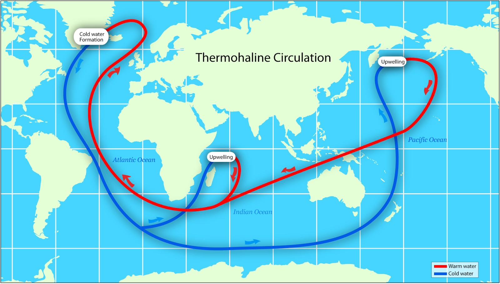 Jessica McCollum Thermohaline Circulation Map